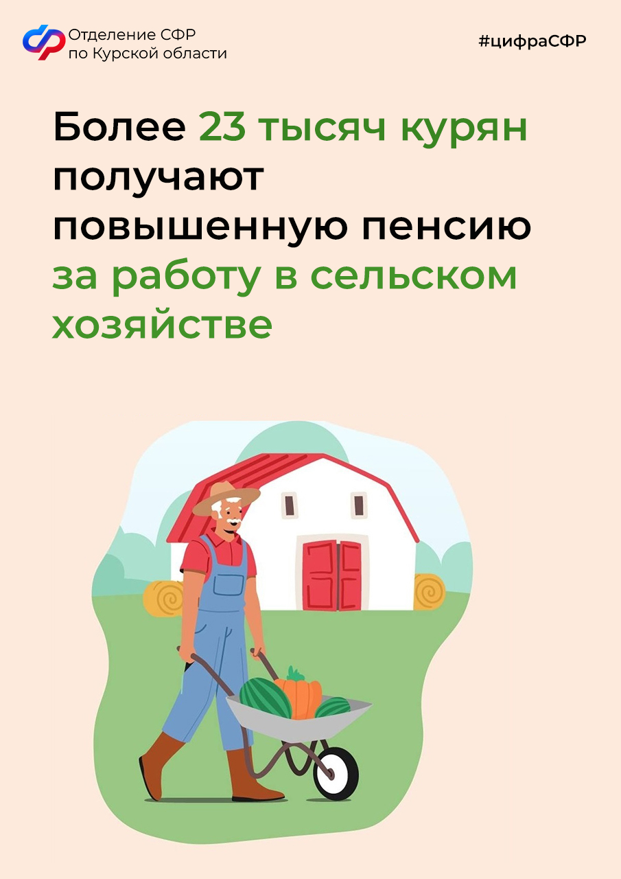 Более 23 тысяч курян получают пенсию в повышенном размере за работу в сельском хозяйстве.
