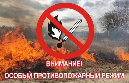 В Курской области введен особый противопожарный режим.